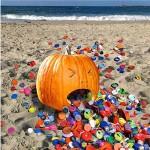 dechet2 Le Plastique c’est comme l’amour…..