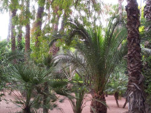 Majorelle4