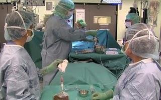 Le premier organe artificiel vient d'être transplanté