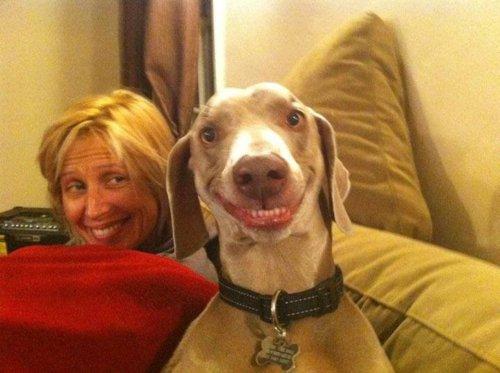 Un chien sourit