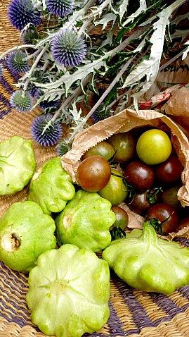 Pâtissons farcis à l'italienne Patissons-farcis-a-l-italienne.jpg