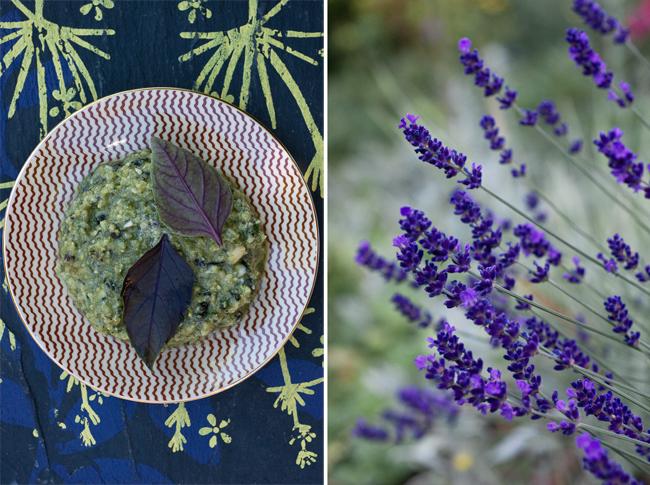 Le pesto pourpre Le pesto pourpre