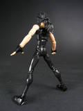 saint seiya,chevaliers du zodiac,phoenix,phoenix noir,black pkoenix,mith cloth phoenix