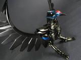 saint seiya,chevaliers du zodiac,phoenix,phoenix noir,black pkoenix,mith cloth phoenix