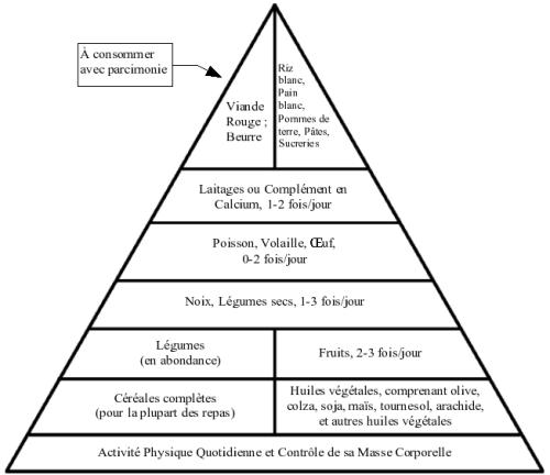 Google est aussi là où on ne l'attend pas : voici son programme de nutrition pour ses employés http://blog.slate.fr/bien-manger/files/2011/06/pyramideWillett.png