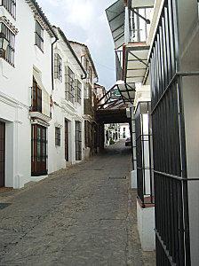 IMGP1780