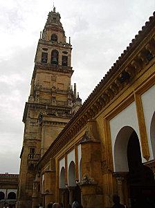 IMGP1419
