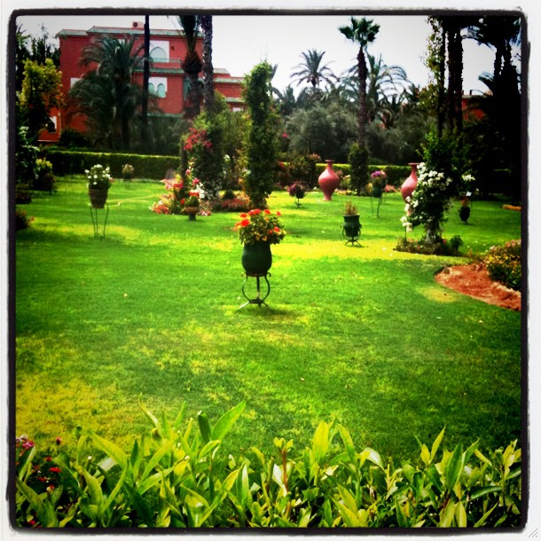 la palmeraie marrakech la palmeraie marrakech