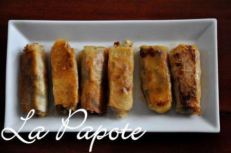 Recette de la semaine - épisode 115 Nems_chorizo_fondue_poireaux