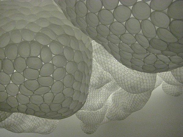 Life is life. Viva Donovan. 3157169933_3b192bed0c_o.jpeg