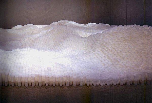 Life is life. Viva Donovan. tara-donovan-sin-titulo-vasos-de-plastico-2006.jpeg