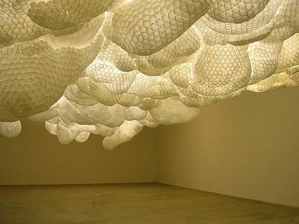 Life is life. Viva Donovan. dscn0937.jpeg