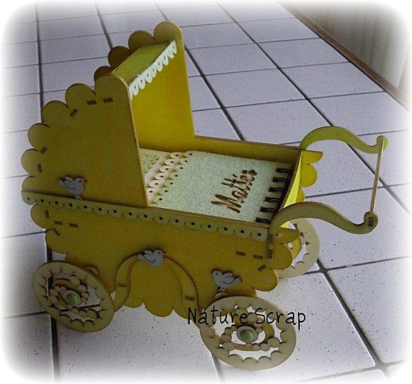 Landau de naissance - jaune IMGP0963.JPG