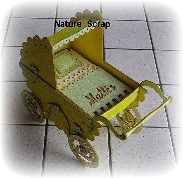 Landau de naissance - jaune IMGP0962.JPG