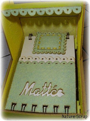 Landau de naissance - jaune IMGP0968_picnik.jpg