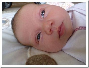 P1000295 P1000295