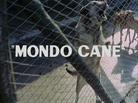 Mondo Cane mondo_cane