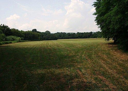 J - 4 pour le Festival Reggae. Ile-Chevalier-Brigand-3-copie-1.JPG