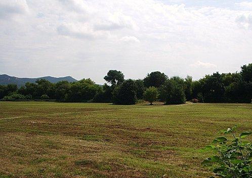 J - 4 pour le Festival Reggae. Ile-Chevalier-Brigand-1.JPG