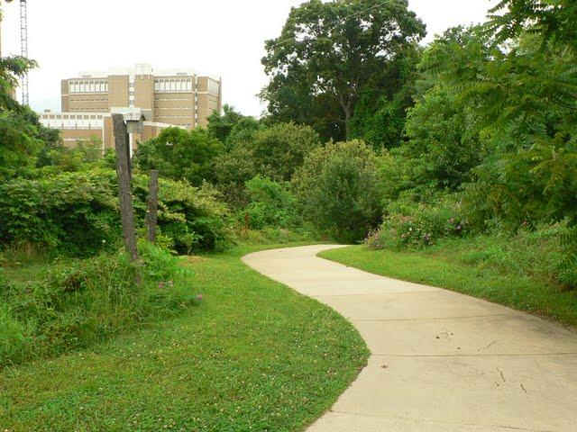 Dr. George Washington Carver Edible Park and the Bountiful City Project