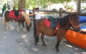 009 Journée des enfants 2011