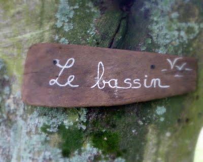L'un de mes endroits préférés au jardin, c'est le