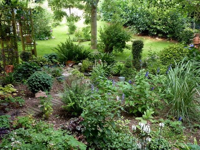 L'un de mes endroits préférés au jardin, c'est le