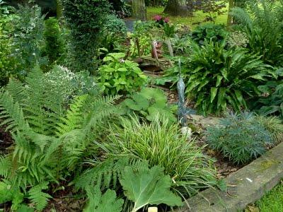 L'un de mes endroits préférés au jardin, c'est le