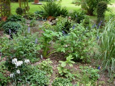 L'un de mes endroits préférés au jardin, c'est le