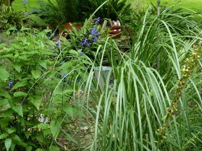L'un de mes endroits préférés au jardin, c'est le