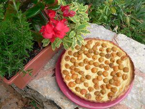 Tarte aux mirabelles 22 juillet 023