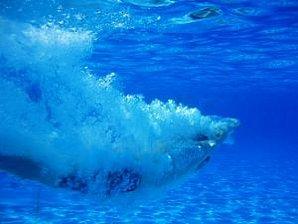jump_21003579.jpg