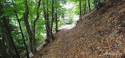 Le Facteur... Le Facteur...