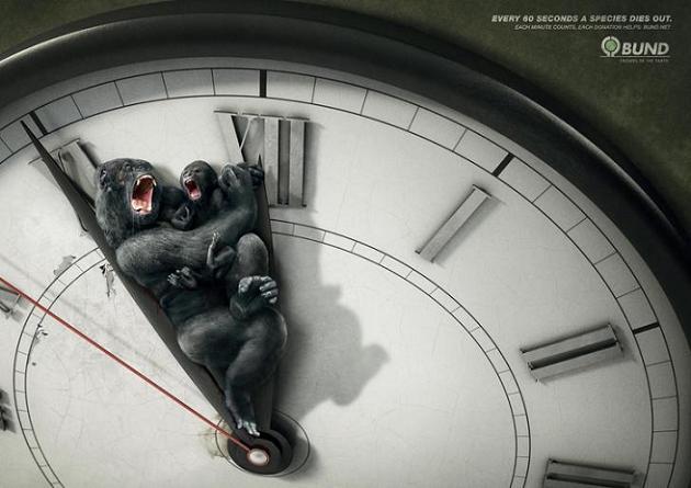 60 secondes chrono … pour la protection des animaux
