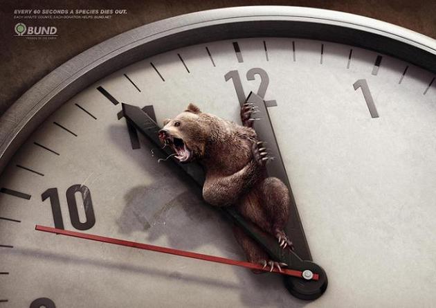 60 secondes chrono … pour la protection des animaux