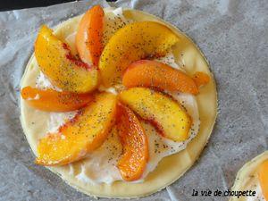 PIZZAS AUX PECHES ET ABRICOTS Bois___fort_d_Arches_002