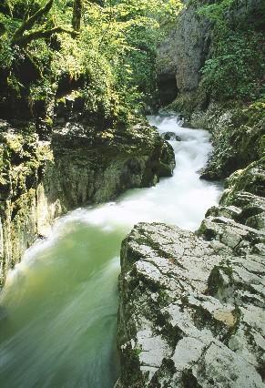Balades jurassiennes…. Les cascades et gorges de la Langouette