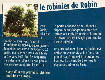 Paris : Les Robiniers de Robin