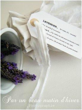 LAVENDER ...
Par un bel après midi d'Eté, Co... DSCF6655