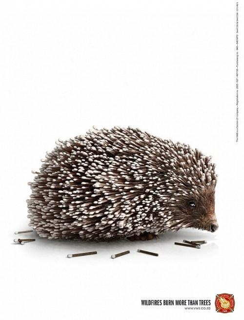 38043_107190-1 VWS Matchhog 275x210 C’EST LA CANICULE : CA VA BRÛLER