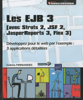 Les EJB 3 (avec Struts 2, JSF 2, JasperReports 3, Flex 3)