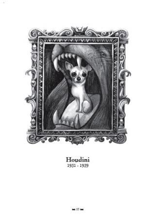 houdini1.jpg