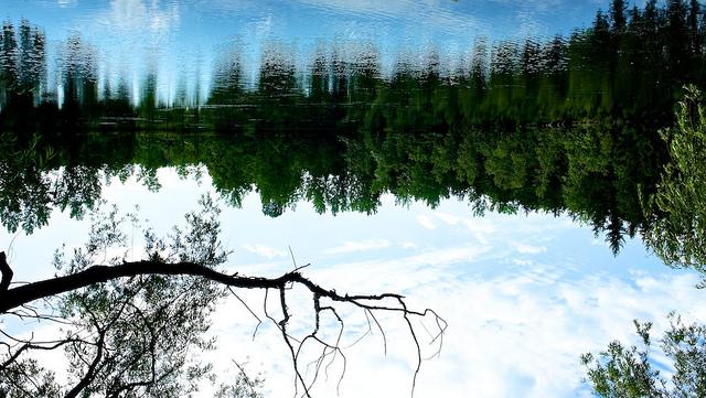 Week-end Reflections #16 DSC03632