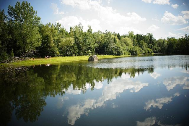 Week-end Reflections #16 DSC03505