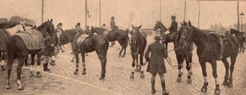 Les sports à Lille en 1921. Les sports à Lille en 1921.