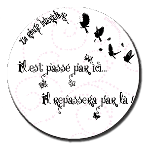 Macarons au nutella - Jeu Interblogs #5 logo