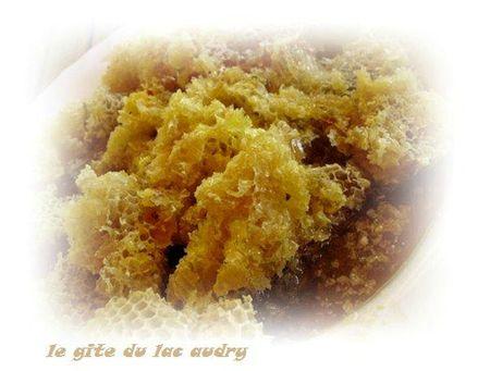 Petits trésors lotois miel du gite 1