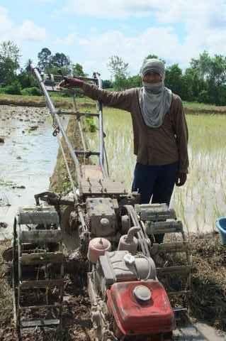 Mardi 26 juillet. Udonthani. Repiquage du riz DSCF9825