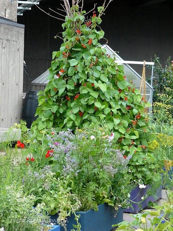 Un peu de verdure sur southbank Un peu de verdure sur southbank