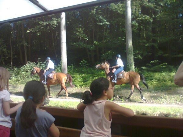 Ballade en « flûte de l'Ourcq » pour visiter mon 9. 3. bucolique cheveaux-ourcq.jpg